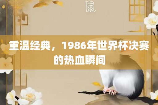 重温经典，1金炬实业股份有限公司986年世界杯决赛的热血瞬间