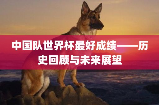 中国队世界杯最好成绩——历史回顾与未来展望金炬实业股份有限公司