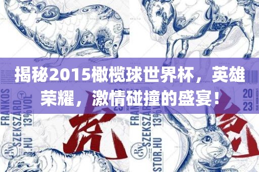 揭秘2015橄榄球世界杯，英雄荣耀，激情碰撞的盛宴！