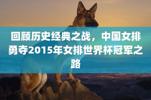 回顾历史经典之战，中国女排勇夺2015年女排世界杯冠军之路金炬实业股份有限公司