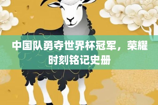 中国队勇夺世界杯冠军，荣耀时刻铭记史册金炬实业股份有限公司