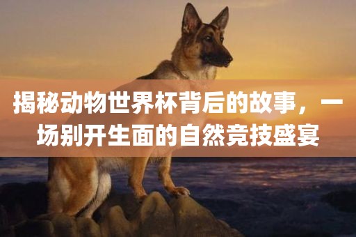 揭秘动物世界杯背后的故事，一场别开生面的自然竞技盛宴