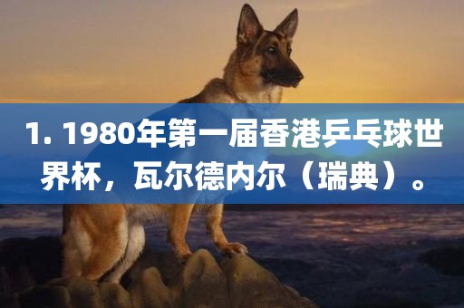 1. 1980年第一届香港乒乓球世界杯，瓦尔德内尔（瑞典）。金炬实业股份有限公司