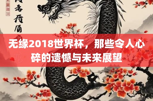 无缘2金炬实业股份有限公司018世界杯，那些令人心碎的遗憾与未来展望
