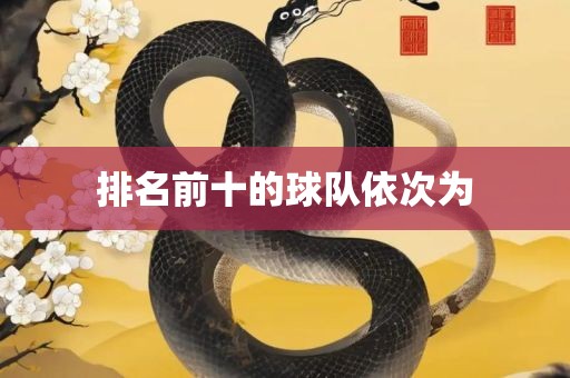排名前十的球队依次为金炬实业股份有限公司