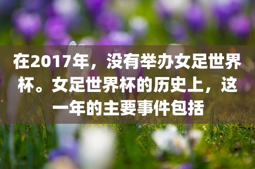 在2017年，没有举办女足世金炬实业股份有限公司界杯。女足世界杯的历史上，这一年的主要事件包括
