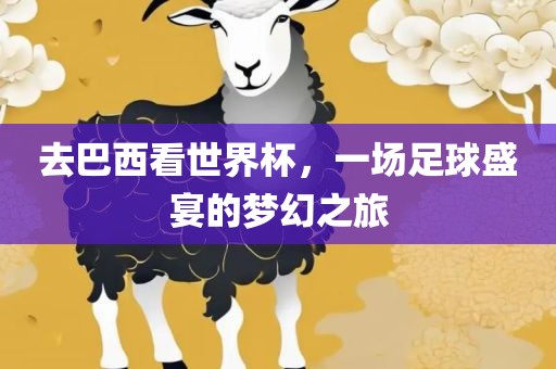 去巴西看世界杯，一场足球盛宴的梦幻之旅金炬实业股份有限公司