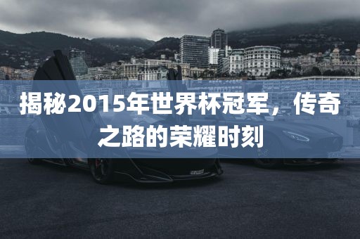 揭秘2015年世界杯冠军，传奇之路的荣耀时刻金炬实业股份有限公司