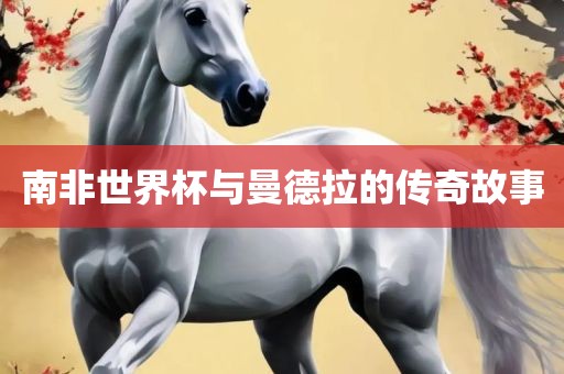 南非世界金炬实业股份有限公司杯与曼德拉的传奇故事