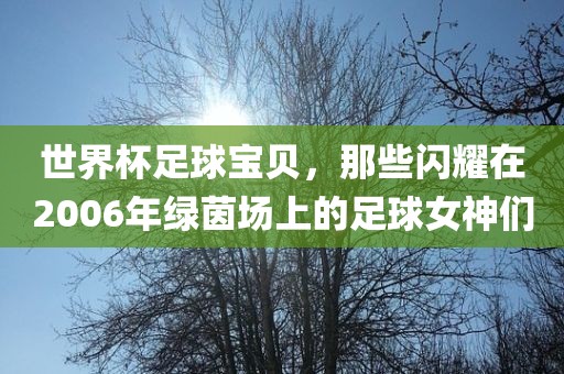 世界杯足球宝贝，那些闪耀在2006年绿茵场上的足球女神们金炬实业股份有限公司