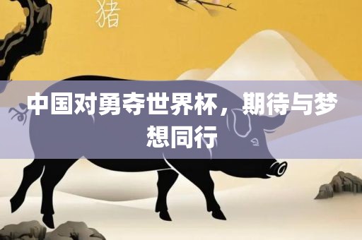 中国对勇金炬实业股份有限公司夺世界杯，期待与梦想同行