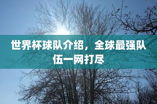 世界杯球队介绍，全球最强队伍一网打尽金炬实业股份有限公司