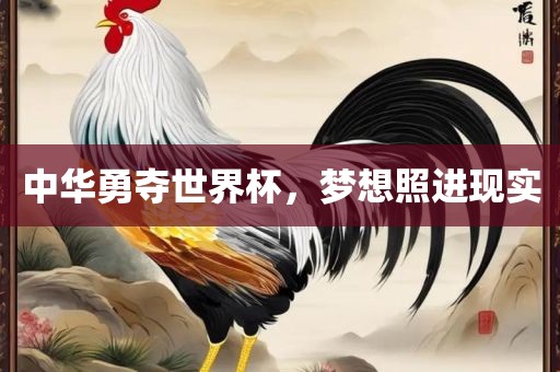 中华勇夺世界杯，梦想照进现实