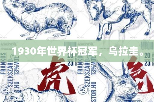 1930年世界杯冠军，乌拉圭。