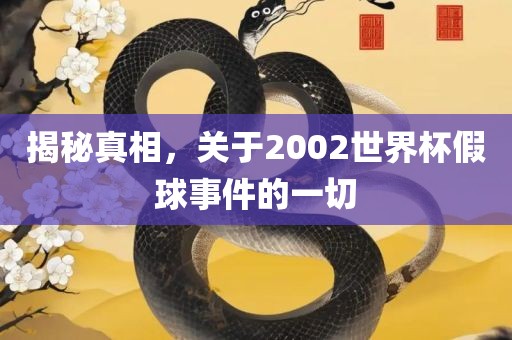揭秘真相，关于2002世界杯假球事件的一切