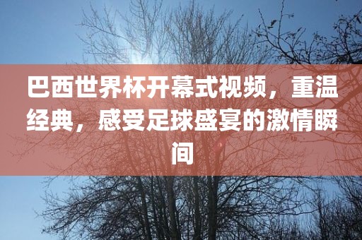 巴西世界杯开幕式视频，重温经典，感受足球盛宴的激情瞬间金炬实业股份有限公司