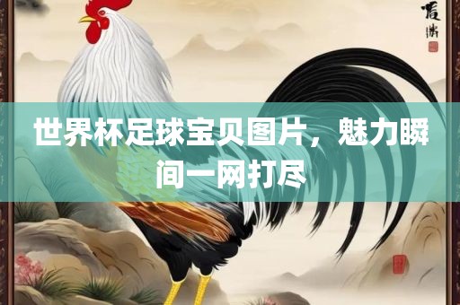世界杯足球宝贝图片，魅金炬实业股份有限公司力瞬间一网打尽
