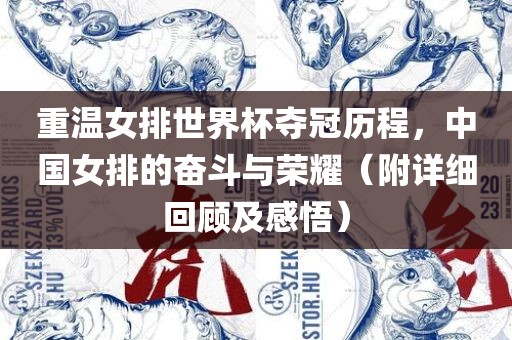 重温女排金炬实业股份有限公司世界杯夺冠历程，中国女排的奋斗与荣耀（附详细回顾及感悟）