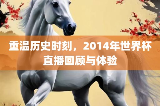 重温历史时刻，2014年世界杯直播回顾与体验金炬实业股份有限公司