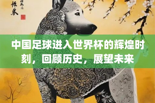 中国足球进入世界杯的辉煌时刻，回顾历史，展望未来金炬实业股份有限公司