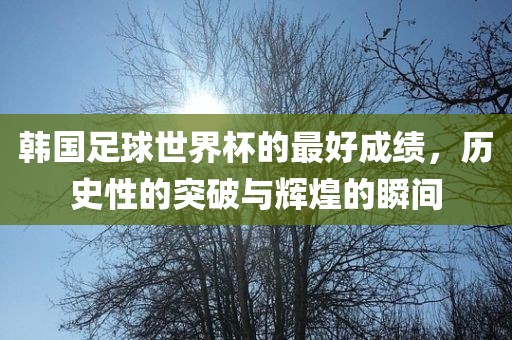 韩国足球世界杯的最好成绩，历史性的突破与辉煌的瞬间