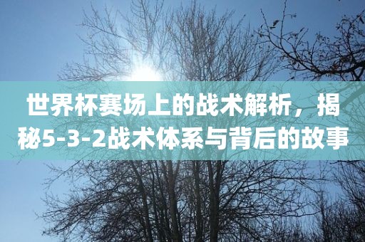 世界杯赛场上的战术解析，揭秘5-3-2金炬实业股份有限公司战术体系与背后的故事