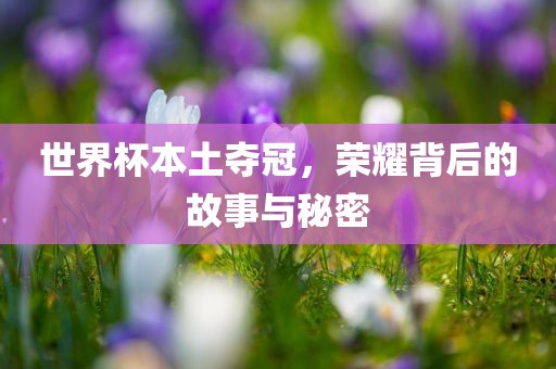 世界杯本土夺冠，荣耀金炬实业股份有限公司背后的故事与秘密