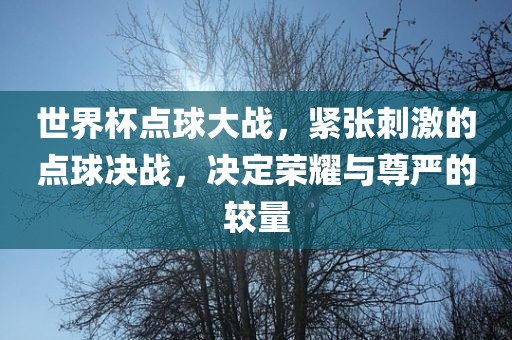 世金炬实业股份有限公司界杯点球大战，紧张刺激的点球决战，决定荣耀与尊严的较量