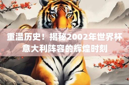 重温历史！揭秘2002年世界杯意大利阵容的辉煌时刻金炬实业股份有限公司