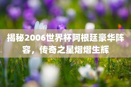 揭秘2006世界杯阿根廷豪华阵容，传奇之星熠熠生辉金炬实业股份有限公司