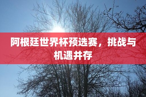 阿根廷世界杯预选赛，挑战与机遇并存