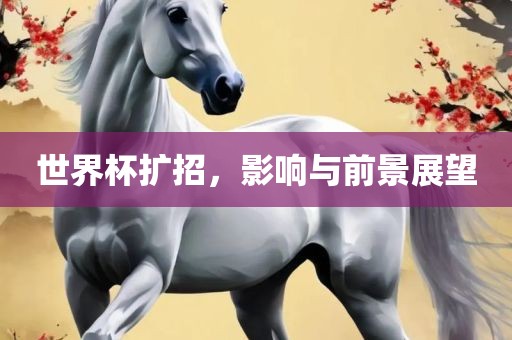 世界杯扩招，影响与前景展望金炬实业股份有限公司