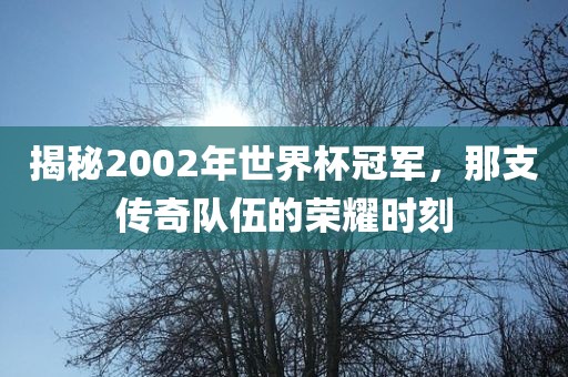 揭秘2002年世界杯冠军，那支传奇队伍的荣耀时刻