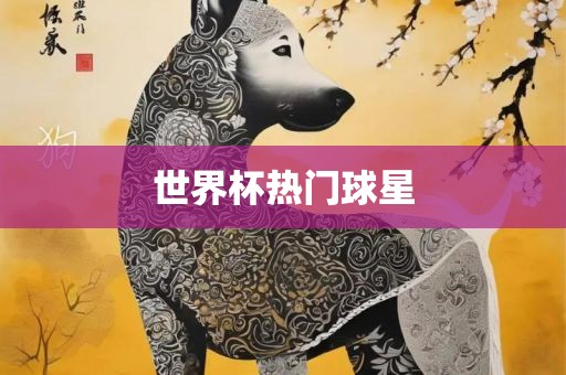 世界杯热门球星