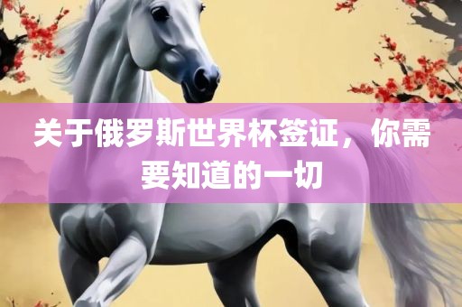 关于俄罗斯世界杯签证，你需要知道的一切金炬实业股份有限公司