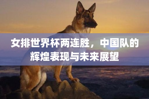 女排世界杯两连胜，中国队的辉煌表现与未来展望金炬实业股份有限公司