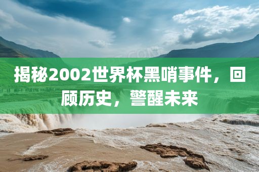 揭秘2002世界杯黑哨事件，回顾历史，警醒未来