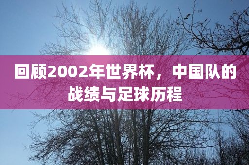 回顾2002年世界杯，中国队的战绩与足球历程