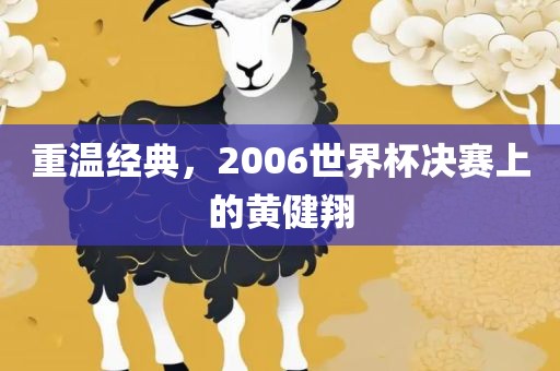 重温经典，2006世界杯决赛上的黄健翔金炬实业股份有限公司