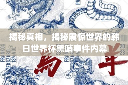 揭秘真相，揭秘震惊世界的韩日世界杯黑哨事件内幕