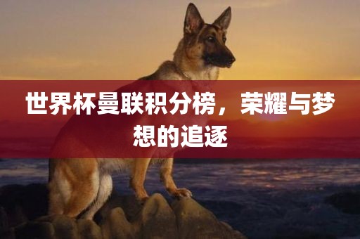 世界杯曼联积分榜，荣耀与梦想的追逐金炬实业股份有限公司