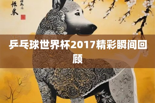 乒乓球世界杯2017精彩瞬间回顾金炬实业股份有限公司