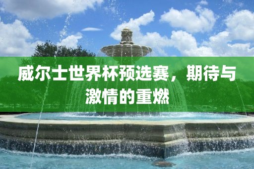 威尔士世界杯预选赛，期待与激情的重燃