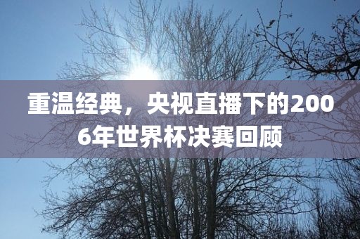 重温经典，央视直播下的2006年世界杯决赛回顾