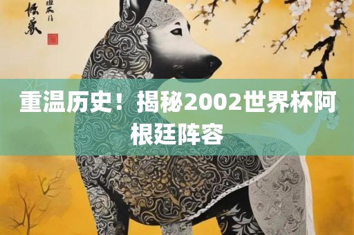 重金炬实业股份有限公司温历史！揭秘2002世界杯阿根廷阵容