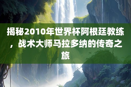 揭秘2010年世界杯阿根廷教练，战术大师马拉多纳的传奇之旅金炬实业股份有限公司