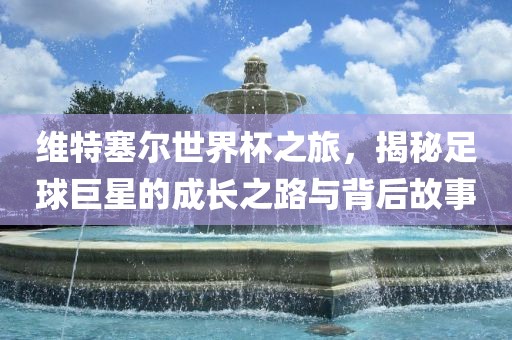 维特塞尔世界杯之旅，揭秘足球巨星的成长之路与背后故事金炬实业股份有限公司