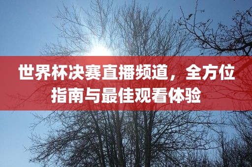 世界杯决赛直播频道，全方位指南与最佳观看体验金炬实业股份有限公司