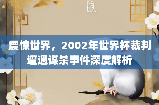 震惊世界，2002年世界杯裁判遭遇谋杀事件深度解析金炬实业股份有限公司
