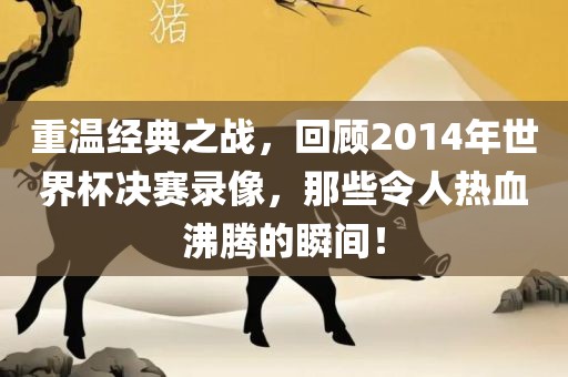 重温经典之金炬实业股份有限公司战，回顾2014年世界杯决赛录像，那些令人热血沸腾的瞬间！